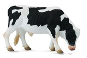 Picture of Byk Friesian