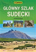 Polska książka : Główny Szl... - Waldemar Brygier