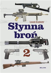 Picture of Słynna broń 2
