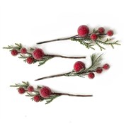 Szronione ... -  books in polish 