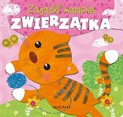 Książka : Zagadki ma... - Zofia Wojtusik