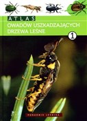 Książka : Atlas owad... - Andrzej Kolk, Jerzy R. Starzyk
