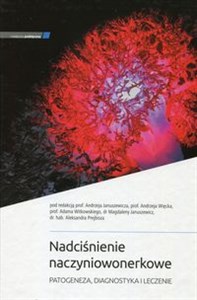 Picture of Nadciśnienie naczyniowonerkowe Patogeneza, diagnostyka i leczenie