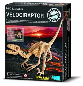 Picture of Dino szkielety Velociraptor