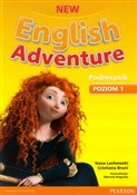 New Englis... - Tessa Lochowski, Cristiana Bruni -  foreign books in polish 
