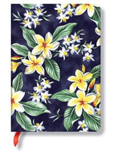 Picture of Notatnik Midi Akahai w linie