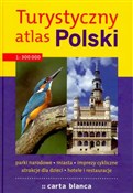 TURYSTYCZN... -  foreign books in polish 