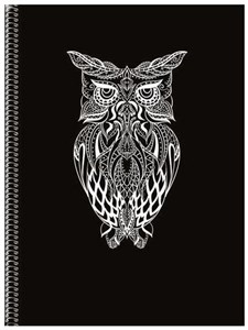 Picture of Notatnik A5 Soft Sowa