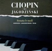 Polska książka : Chopin Jag... - Jagodziński Andrzej