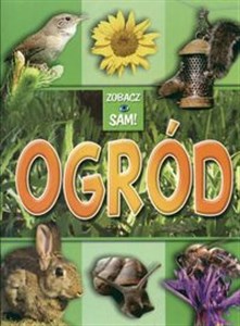 Picture of Ogród Zobacz sam