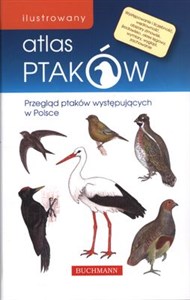 Picture of Ilustrowany atlas ptaków Przegląd ptaków występujących w Polsce