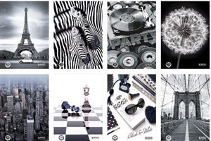 Picture of Brulion A5/96K linia Black&White (5szt)