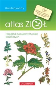 Obrazek Ilustrowany atlas ziół Przegląd popularnych roślin leczniczych