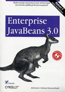 Picture of Enterprise JavaBeans 3.0.