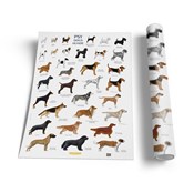 Polska książka : Plansza ed...