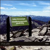 Nieskończo... - Inka Timoszyk -  Polish Bookstore 