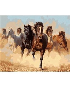 Picture of Malowanie po numerach - Stado koni 40x50cm