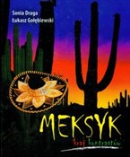 Meksyk kra... - Łukasz Gołębiewski, Sonia Draga -  foreign books in polish 