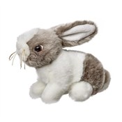 polish book : Króliczek ...