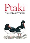 Polska książka : Ptaki Kies... - Opracowanie Zbiorowe
