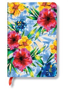 Picture of Notatnik Ola w linię Mini