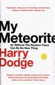 Książka : My Meteori... - Harry Dodge