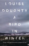 A Bird in ... - Louise Doughty -  books from Poland