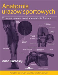 Picture of Anatomia urazów sportowych