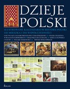 Polska książka : Dzieje Pol... - Bogusław Brodecki
