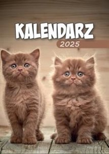 Obrazek Kalendarz 2025 A6 Zdzierak MIX