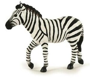 Picture of Zebra samiec