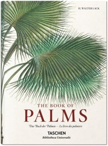 Picture of Book of Palms