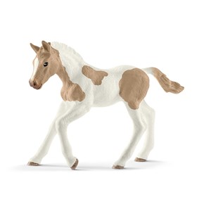 Picture of Koń paint horse foal SLH13886