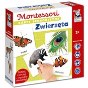 Montessori... - Katarzyna Dołhun -  foreign books in polish 
