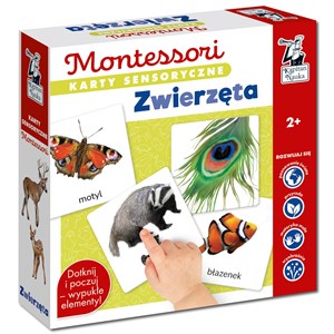 Obrazek Montessori. Karty sensoryczne. Zwierzęta 2+