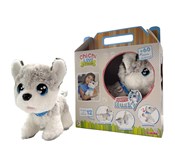 Pies Husky... -  books from Poland