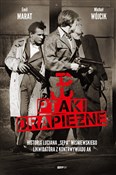 Polska książka : Ptaki drap... - Michał Wójcik, Lucjan Wiśniewski, Emil Marat