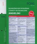 Błyskawicz... -  books in polish 