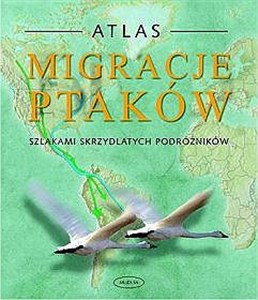 Picture of Migracje ptaków Szlakami skrzydlatych podróżników