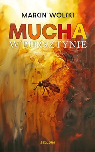 Picture of Mucha w bursztynie