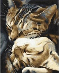 Obrazek Malowanie po numerach - Śpiące koty 40x50cm