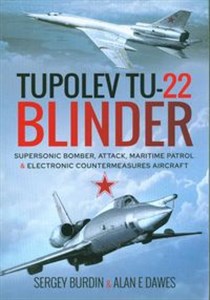 Picture of TupolevTu-22 Blinder