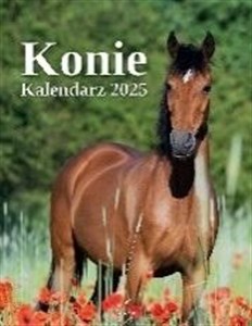 Picture of Kalendarz 2025 wieloplanszowy Konie