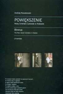 Picture of Powiększenie Nowy cmentarz żydowski w Krakowie