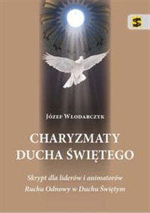 Obrazek Charyzmaty Ducha Świętego Skrypt dla liderów i animatorów Ruchu Odnowy w Duchu Świętym