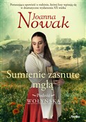 Sumienie z... - Joanna Nowak -  foreign books in polish 