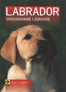 Picture of Labrador Wychowanie i zdrowie