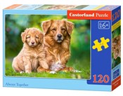 Książka : Puzzle Alw...