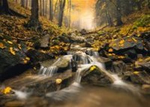 Obrazek Puzzle Schmidt 1000 Stefan Hefele Zjawiskowy strumień