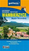 Przewodnik... - Opracowanie Zbiorowe -  foreign books in polish 